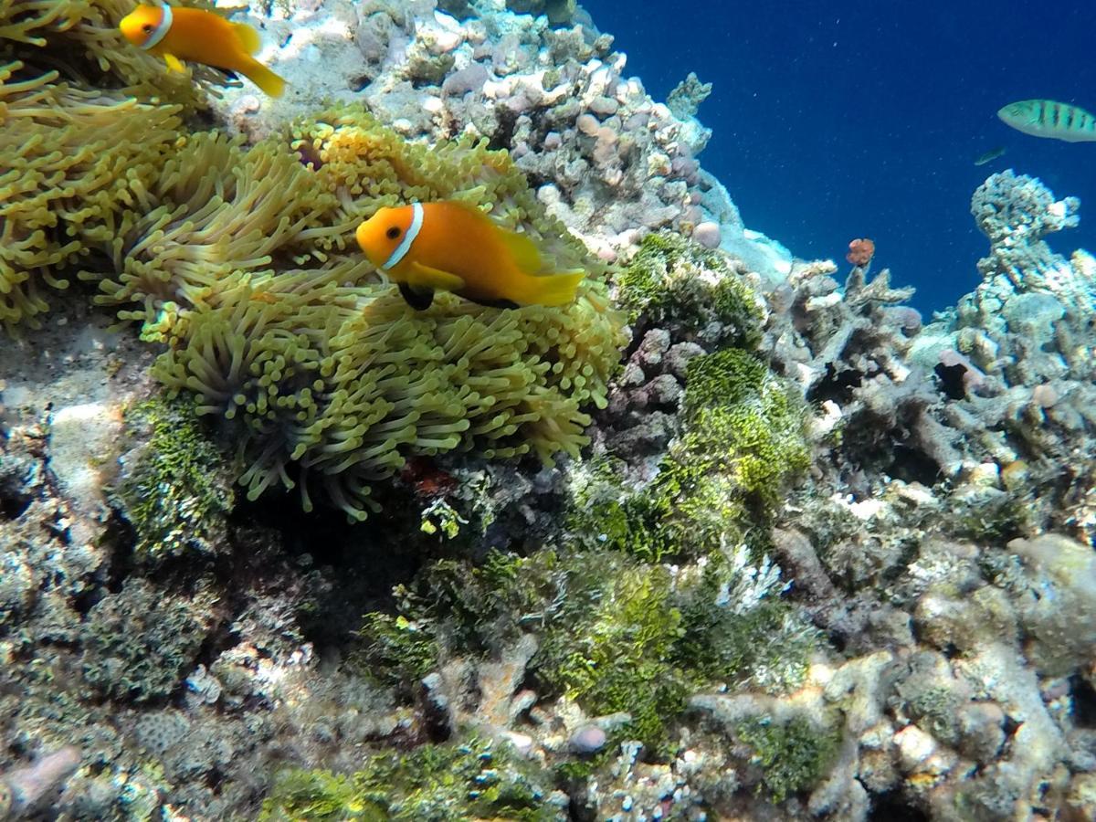 Atoll Residence Dhangethi Bagian luar foto